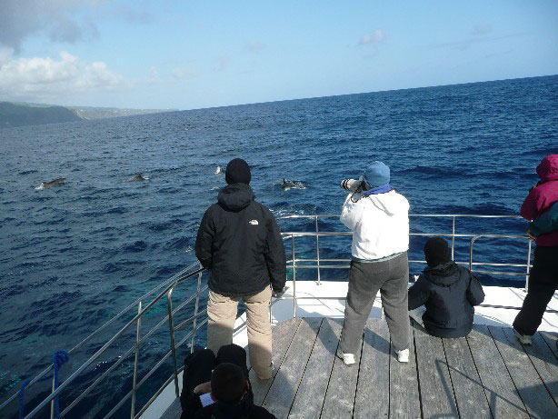 photoid2_img