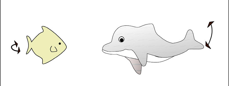 tail_img