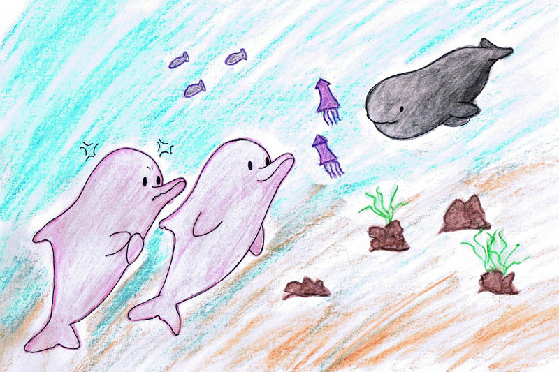 3_dolphins_meet_img