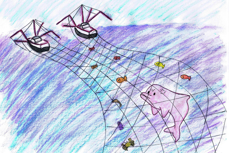 fishing_net_img