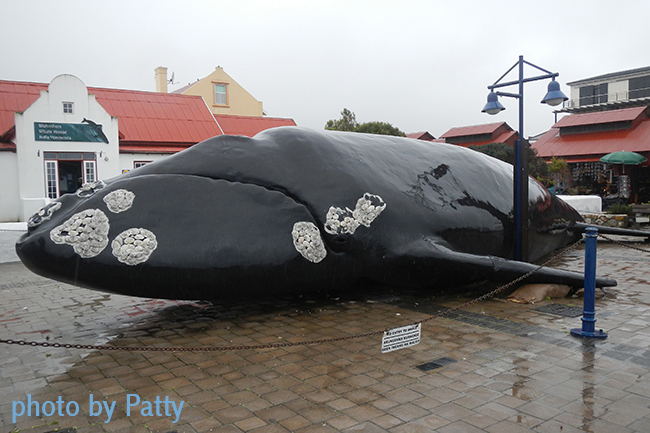 hermanus