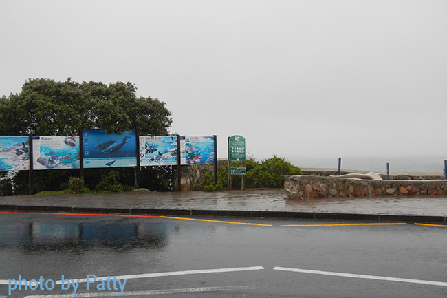 lookout point