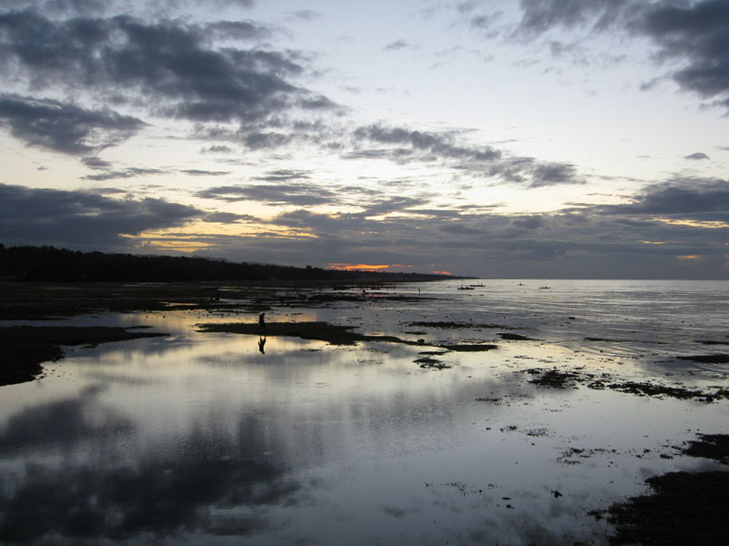 dawn_2