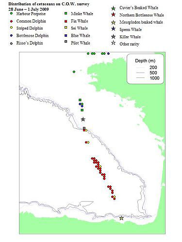 distribution